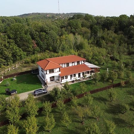 Pensiunea Emelys, Iasi Barnova Exteriér fotografie