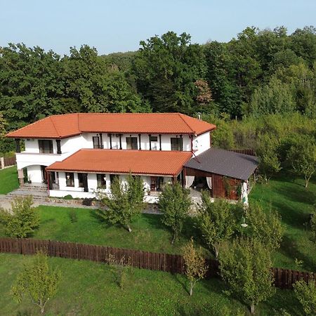 Pensiunea Emelys, Iasi Barnova Exteriér fotografie
