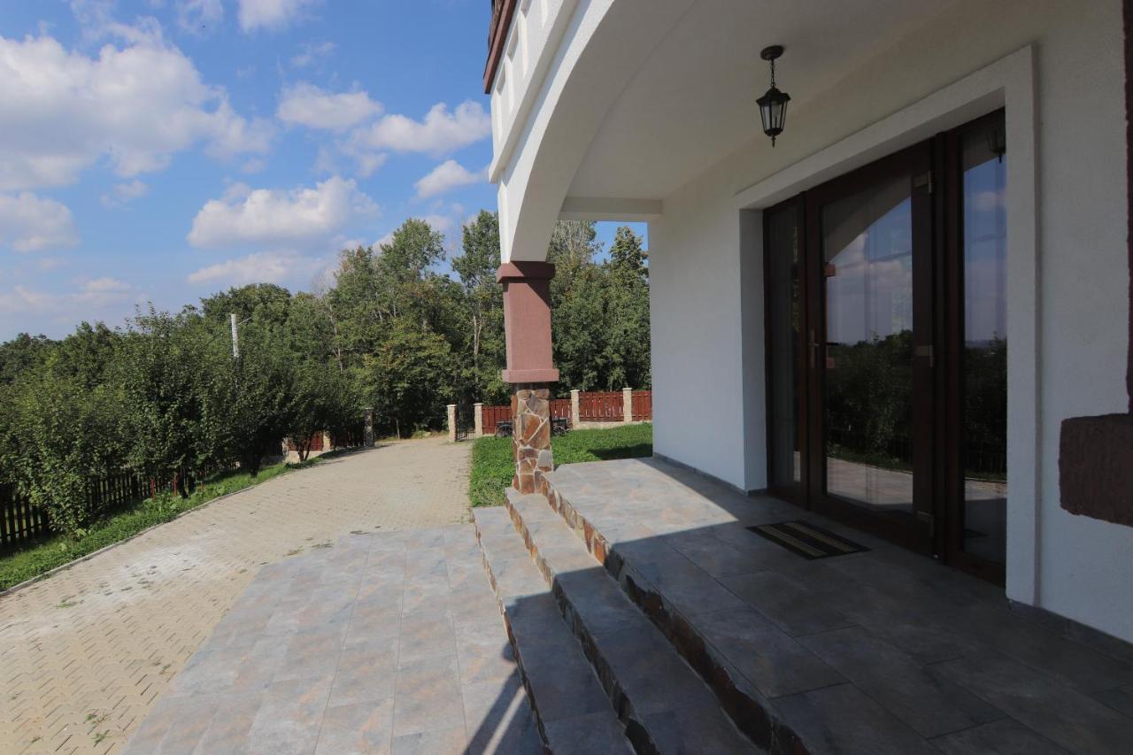 Pensiunea Emelys, Iasi Barnova Exteriér fotografie