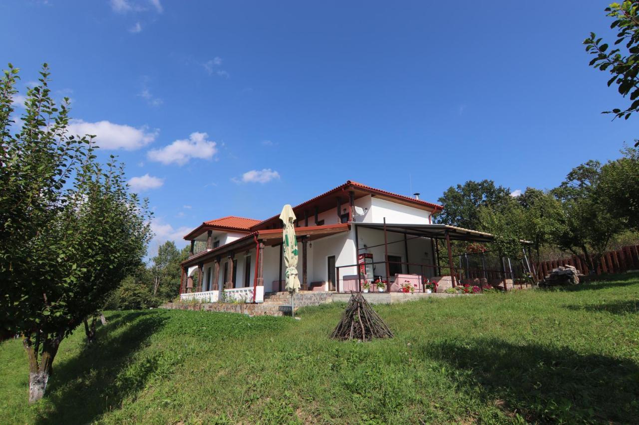 Pensiunea Emelys, Iasi Barnova Exteriér fotografie
