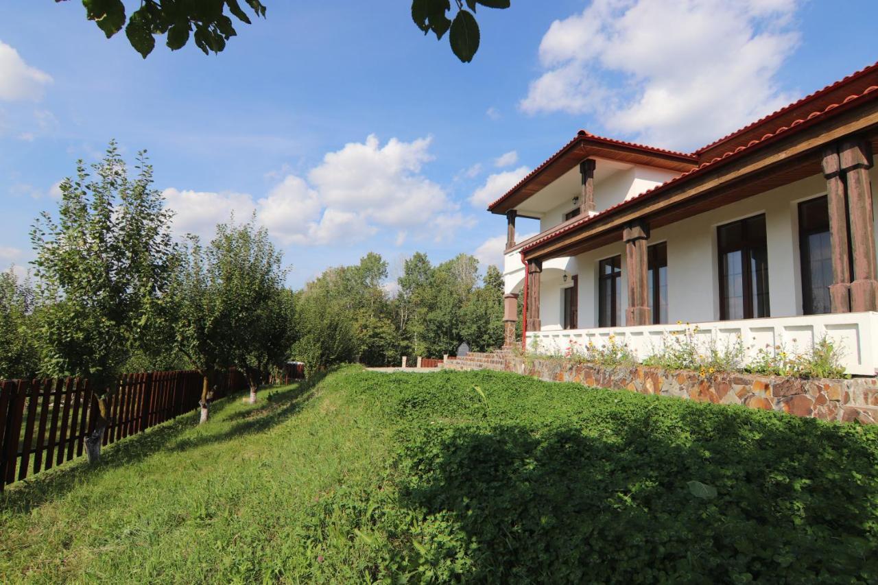 Pensiunea Emelys, Iasi Barnova Exteriér fotografie