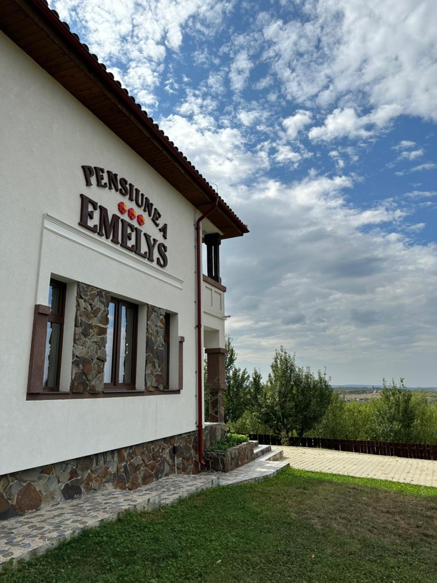 Pensiunea Emelys, Iasi Barnova Exteriér fotografie
