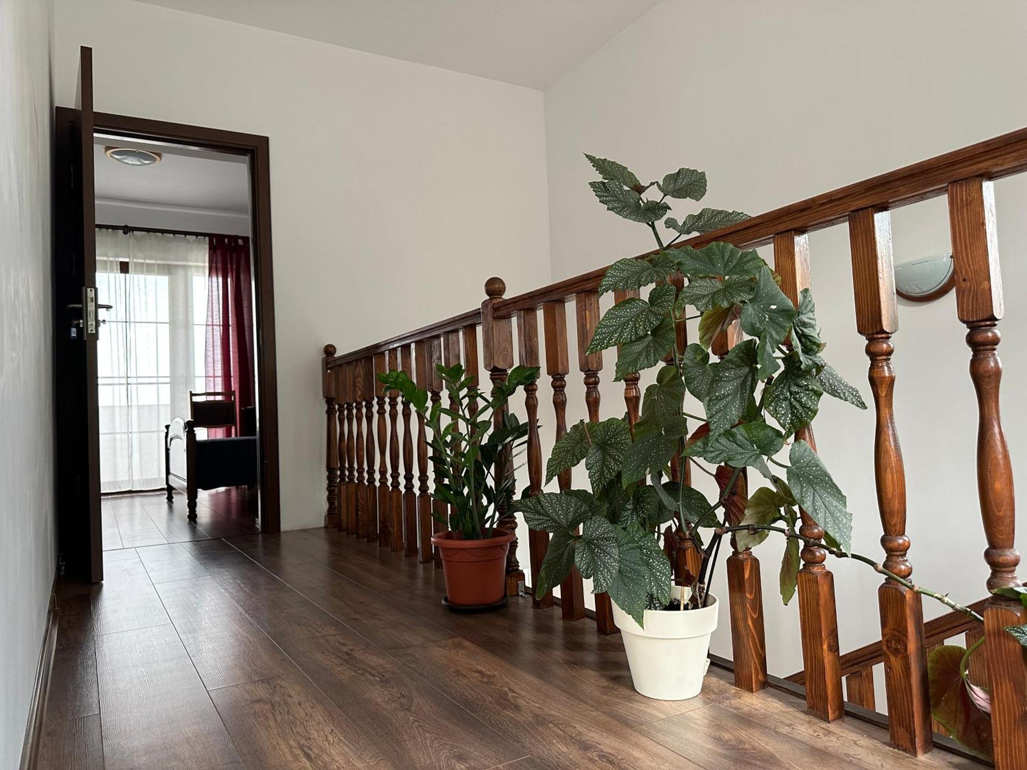 Pensiunea Emelys, Iasi Barnova Exteriér fotografie