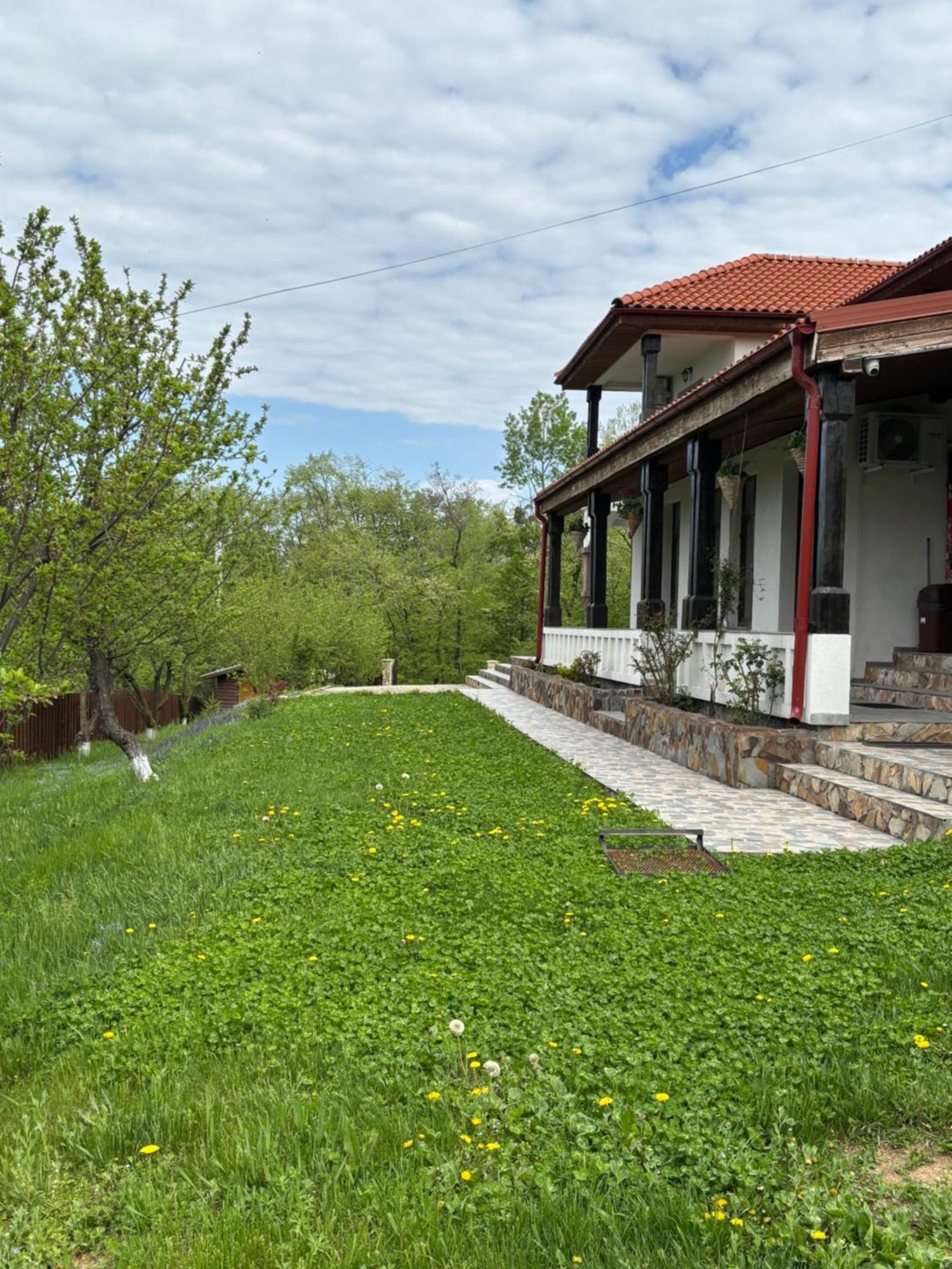 Pensiunea Emelys, Iasi Barnova Exteriér fotografie