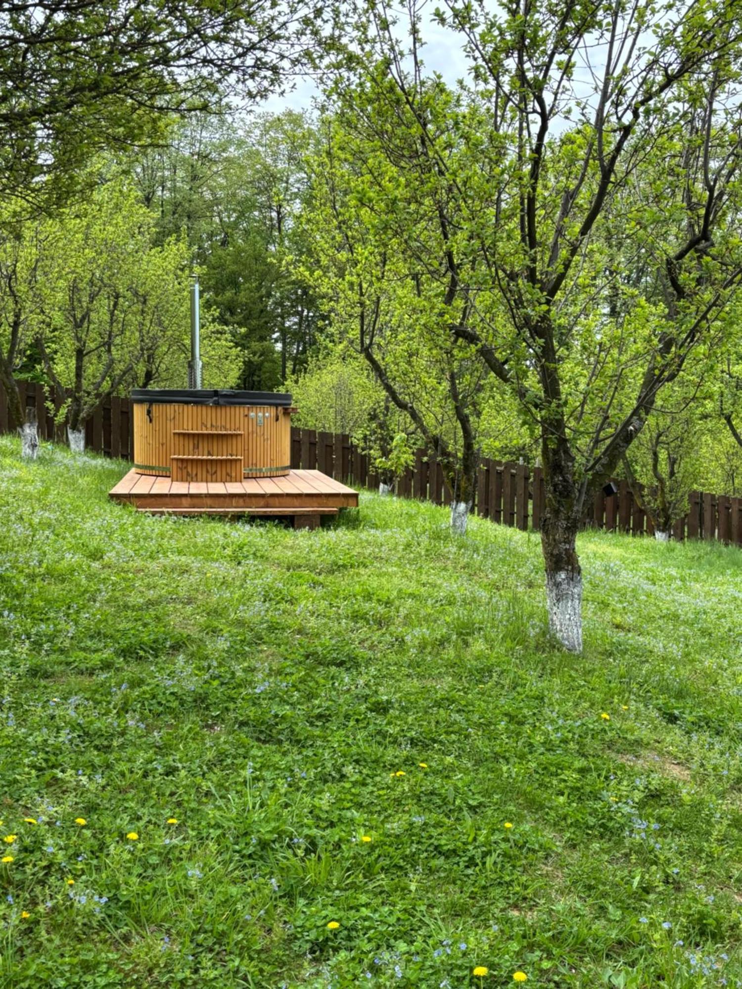 Pensiunea Emelys, Iasi Barnova Exteriér fotografie