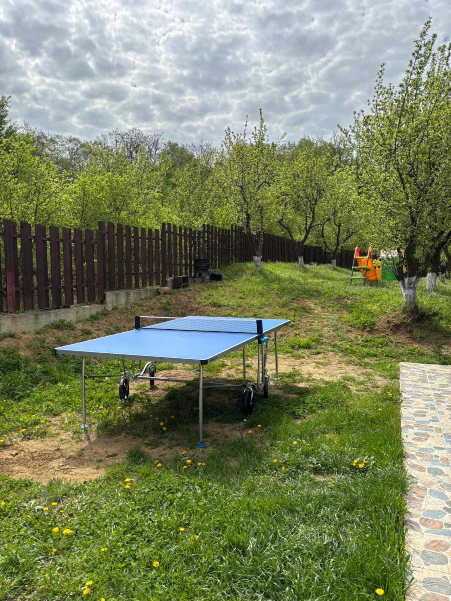 Pensiunea Emelys, Iasi Barnova Exteriér fotografie