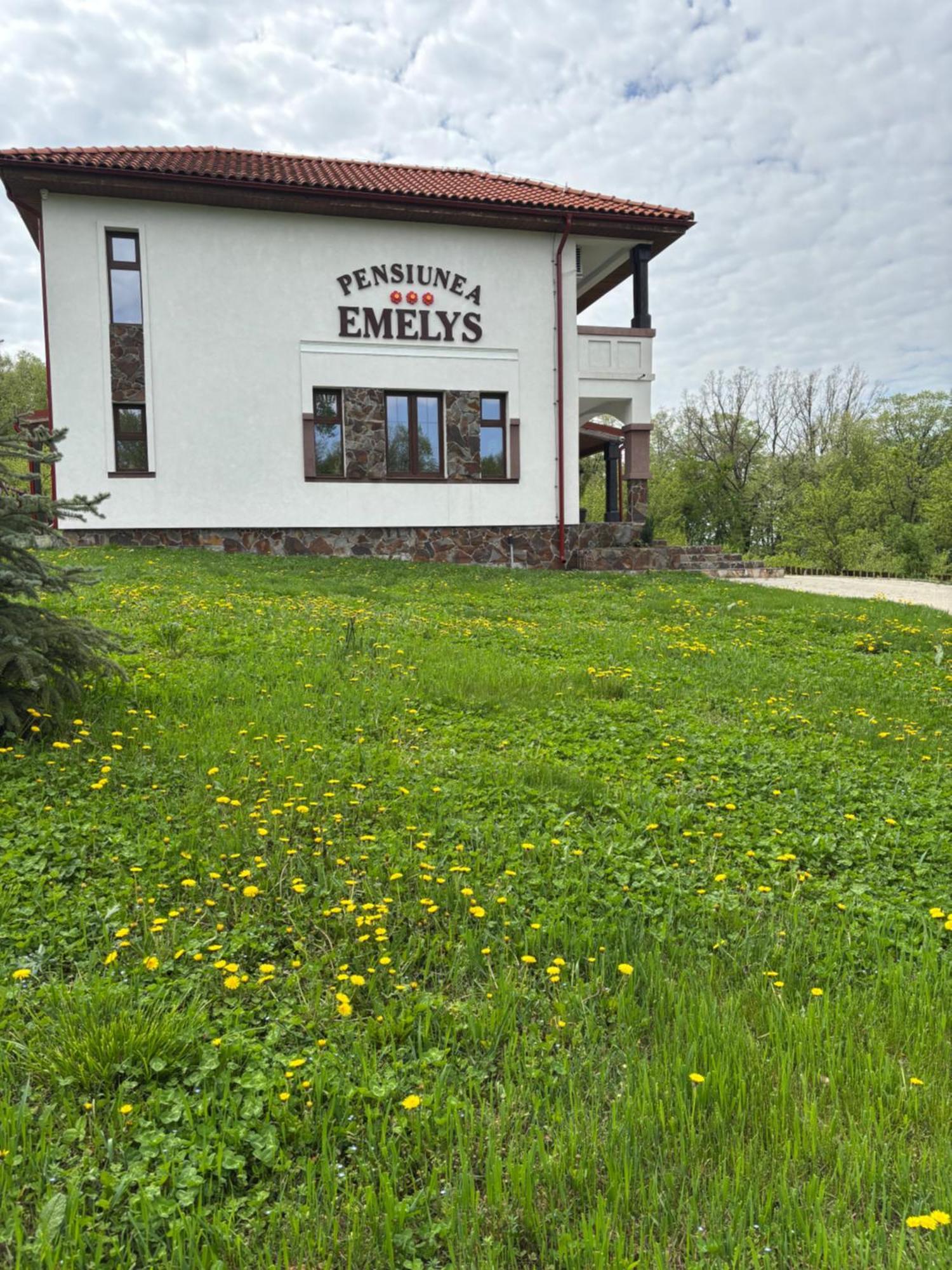 Pensiunea Emelys, Iasi Barnova Exteriér fotografie
